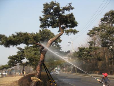 솔향기 가득한“노송지대”산책로 1번지